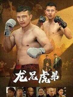 龙兄虎弟海报