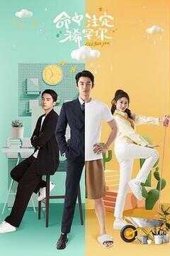 命中注定稀罕你海报