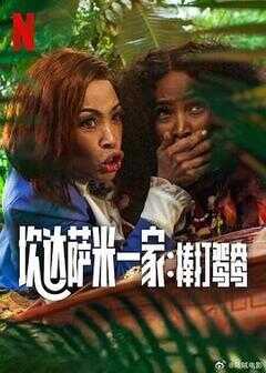 炊达萨米一家:棒打鸳鸯海报