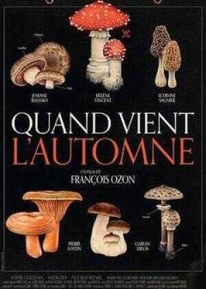 秋日何时来海报