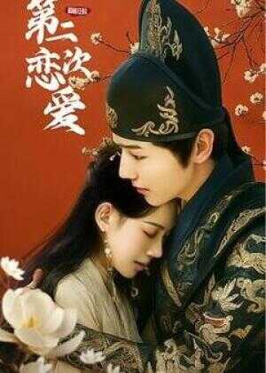 和前任的第二次恋爱海报