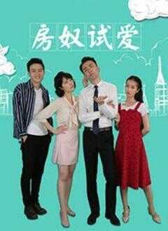 房奴试爱海报