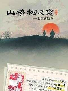 山楂树之恋海报