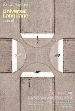 共同的语言海报