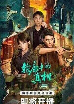 轮廓中的真相海报