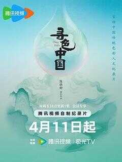 寻色中国海报