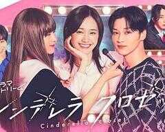 灰姑娘的魔法衣橱海报