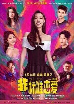 非标准恋爱海报