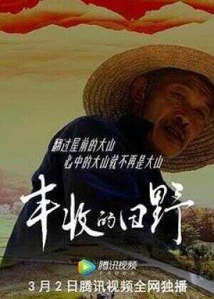 丰收的田野海报