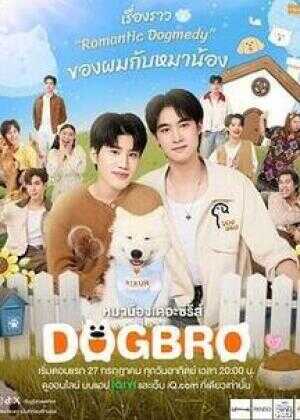 恋爱汪汪汪海报