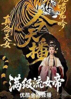 满级流女帝海报