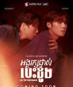 我的顶级保镖海报