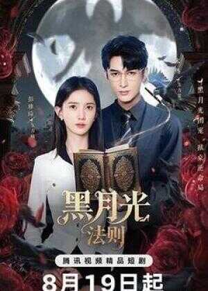 黑月光法则海报