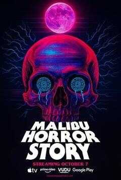 马里布录像带海报