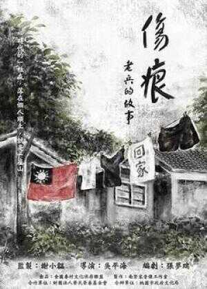 伤痕——老兵的故事