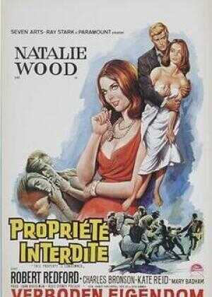 蓬门碧玉红颜泪海报