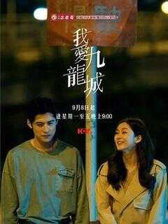 我爱九龙城海报