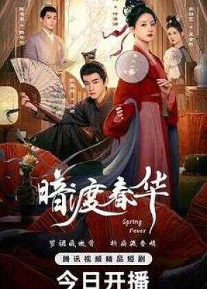 暗渡春华海报