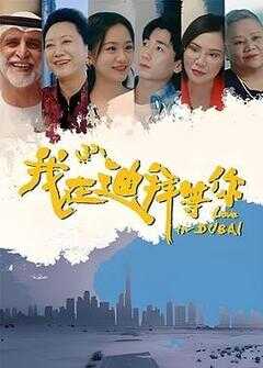 我在迪拜等你海报