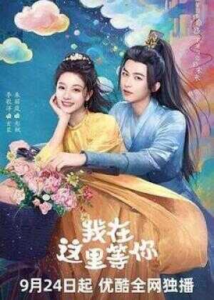 我在这里等你海报