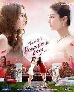 爱情毒药海报