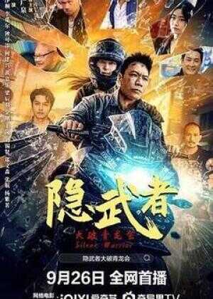 隐武者：大破青龙会海报