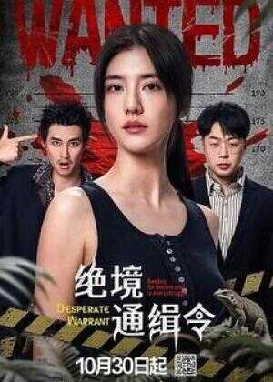 绝境通缉令海报