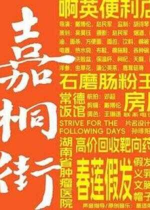 嘉桐街（暂名）