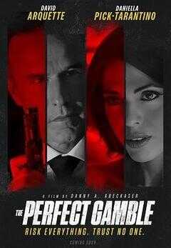 完美赌局海报
