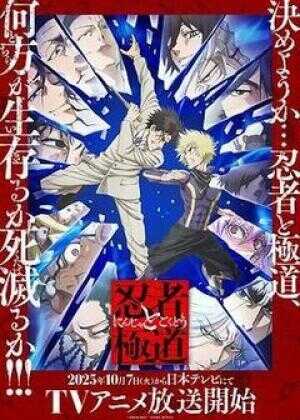 忍者与极道海报