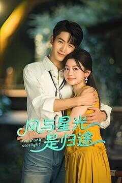 风与星光是归途海报