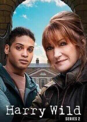 野探哈莉 第二季海报