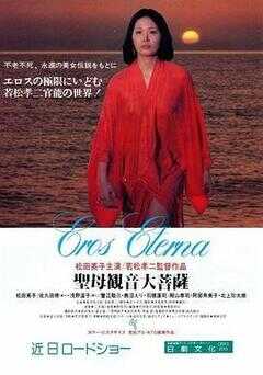 圣母观音大菩萨海报