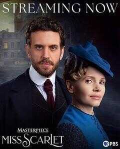 斯嘉丽小姐探案集 第六季海报