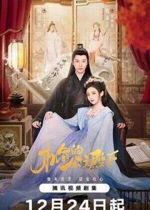 机智的公主殿下海报