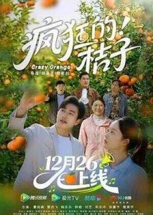 疯狂的桔子海报