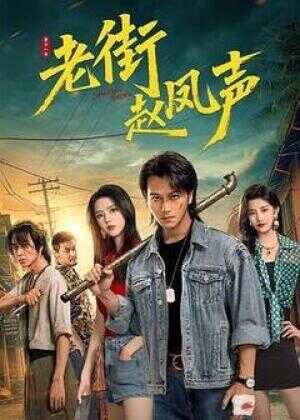 老街赵凤声海报