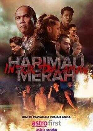 血虎：家族内战海报