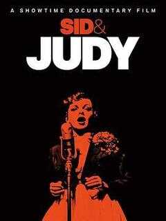 希德和朱迪海报