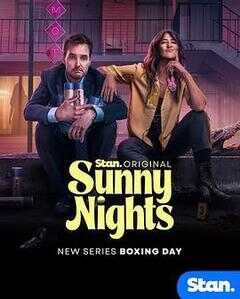 阳光灿烂的夜晚海报