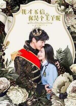 我才不信你是个王子呢海报