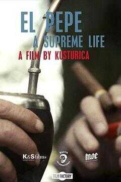 总统佩佩：至高人生海报