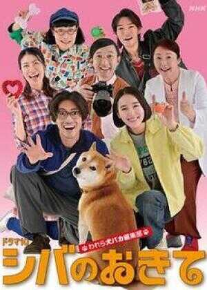 柴犬的规矩～我们这群狗痴编辑部～海报