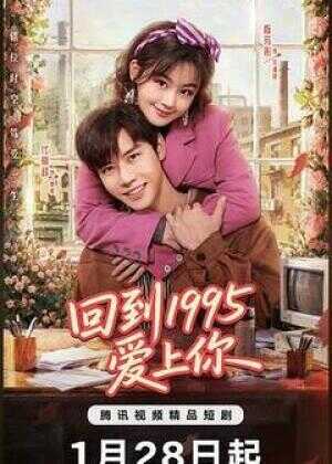 回到1995爱上你海报