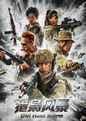 猎枭风暴