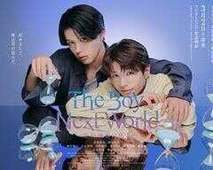 异世界来的男生~平行世界的恋人~