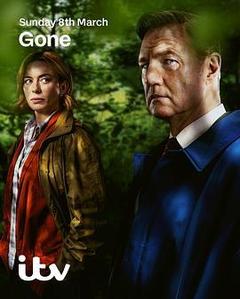 消失的妻子海报