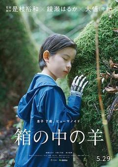盒子里的羊海报