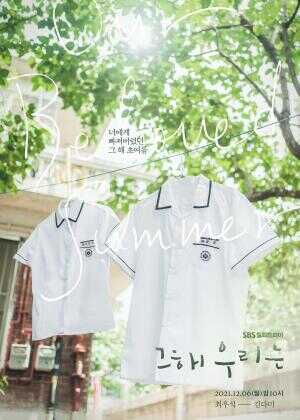 那年,我们的夏天海报