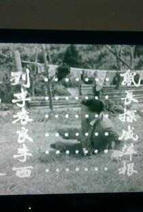 女飞侠黄莺之公寓谋杀案海报